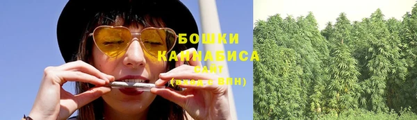 ПСИЛОЦИБИНОВЫЕ ГРИБЫ Арсеньев