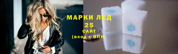 ПСИЛОЦИБИНОВЫЕ ГРИБЫ Арсеньев
