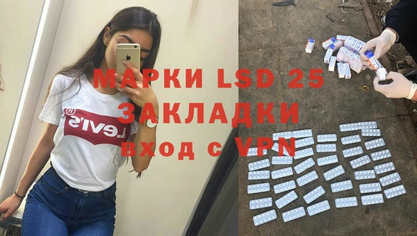ПСИЛОЦИБИНОВЫЕ ГРИБЫ Арсеньев