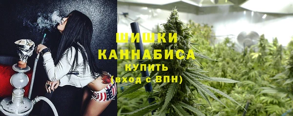 ПСИЛОЦИБИНОВЫЕ ГРИБЫ Арсеньев