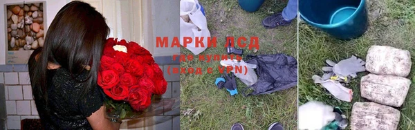 ПСИЛОЦИБИНОВЫЕ ГРИБЫ Арсеньев