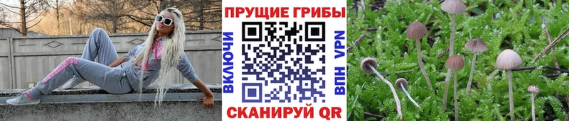 где купить shop состав Галлюциногенные грибы GOLDEN TEACHER Мыски